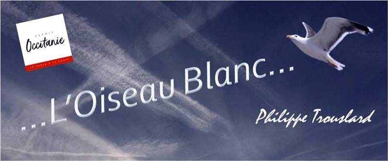 Loiseaublanc Ph.Trouslard_FB.jpg (28 KB)