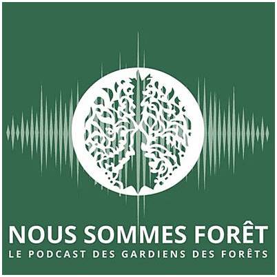 arcania_foret.jpg (26 KB)